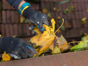 Cleaning Tips for Your Gutters in Savannah